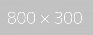 800x300