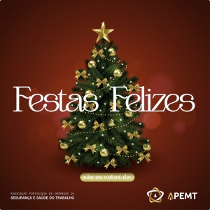 xmas 2024_APEMT